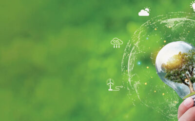 Cam kết xanh bền vững